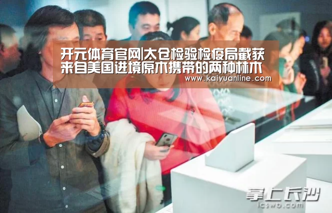 开元体育直播