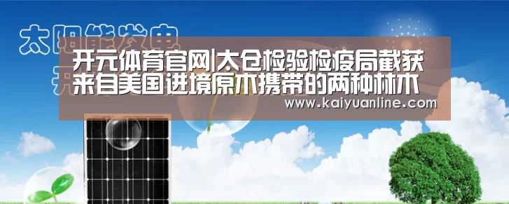开元体育官网