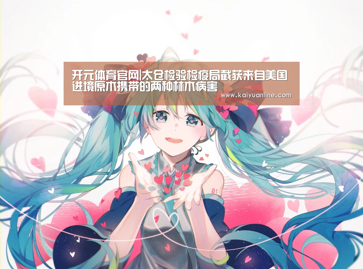 开元体育下载