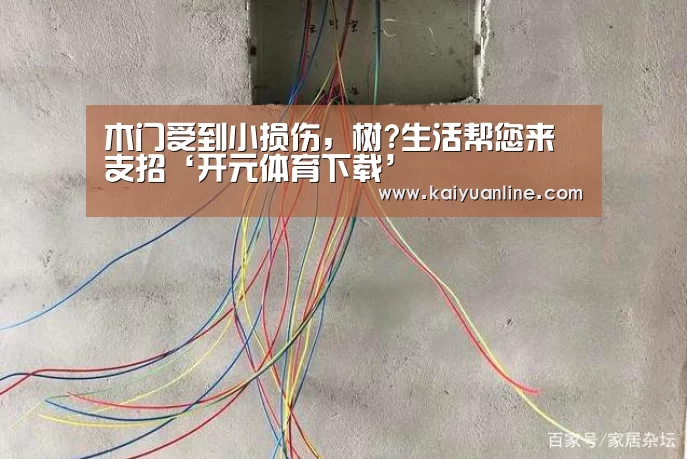 木门受到小损伤,树?生活帮您来支招‘开元体育下载’(图3) 开元体育下载