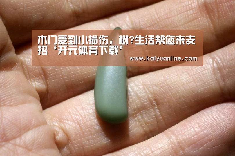 木门受到小损伤,树?生活帮您来支招‘开元体育下载’(图2) 开元体育下载