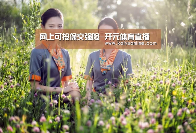 网上可投保交强险-开元体育直播(图2) 开元体育下载